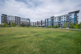 Photo 32: 110 495 78 Avenue in Calgary: Kingsland Apartment for sale : MLS®# A1252209