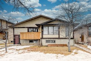 Photo 30: 1139 Berkley Drive NW in Calgary: Beddington Heights Semi Detached for sale : MLS®# A1172048