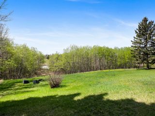 Photo 7: 105 Bearspaw Loop in Rural Rocky View County: Rural Rocky View MD Detached for sale : MLS®# A2018814