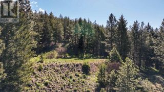 Photo 10: LOT 4 WHITETAIL Place in Osoyoos: Vacant Land for sale : MLS®# 198188