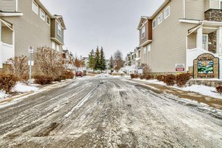Photo 40: 225 Elgin Gardens SE in Calgary: McKenzie Towne Row/Townhouse for sale : MLS®# A2010627