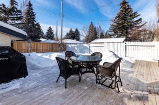 Photo 27: 7315 61 Avenue NW in Calgary: Silver Springs Detached for sale : MLS®# A2030087