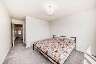 Photo 26: 146 Homestead Park NE in Calgary: C-686 Detached for sale : MLS®# A2128607