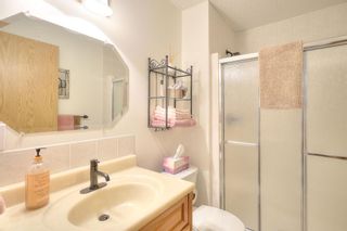 Photo 36: 94 Thornbird Way SE: Airdrie Detached for sale : MLS®# A2048721