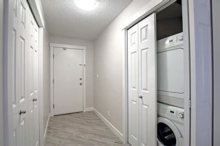Photo 27: 1604 325 3 Street SE in Calgary: Downtown East Village Apartment for sale : MLS®# A2022146