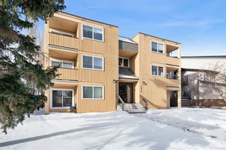Photo 3: 301 4619 73 Street NW in Calgary: Bowness Apartment for sale : MLS®# A2035068