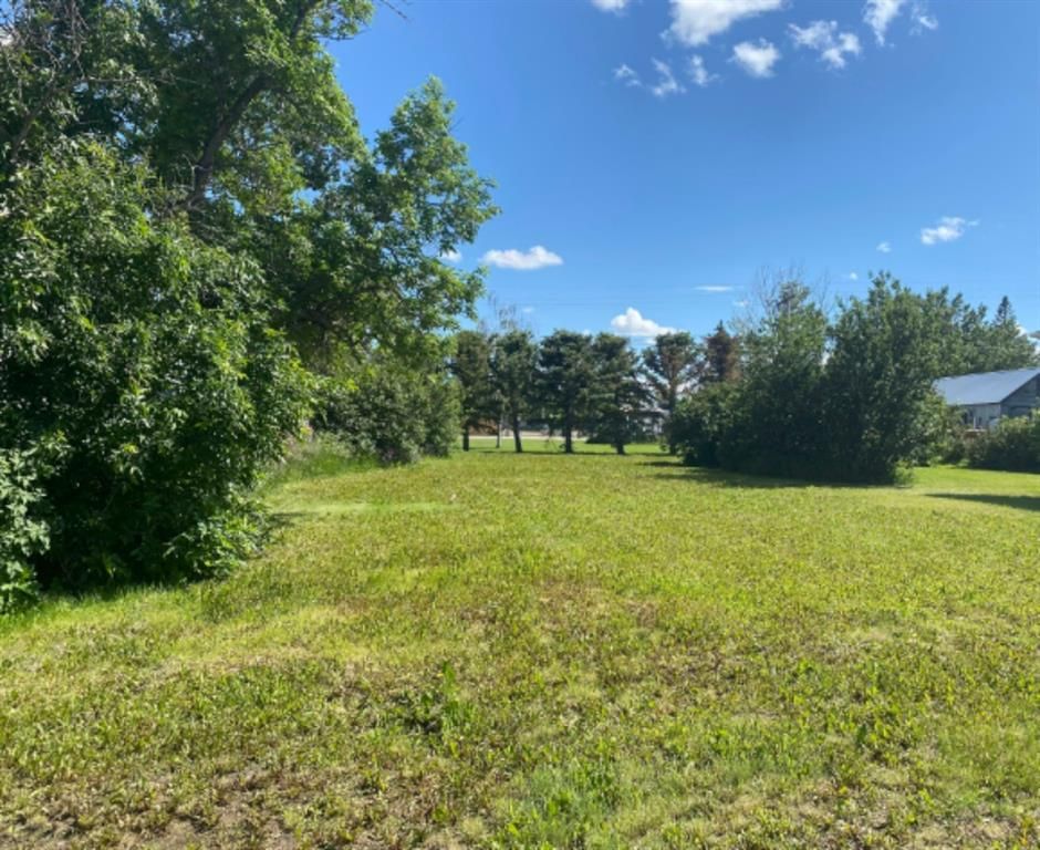 Main Photo: 5047 51 Avenue: Stavely Residential Land for sale : MLS®# A1231613