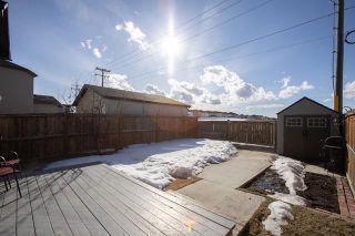 Photo 32: 185 Saddlebrook Way NE in Calgary: Saddle Ridge Detached for sale : MLS®# A2031402