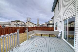 Photo 50: 268 WEST CREEK Drive: Chestermere Detached for sale : MLS®# A1180518