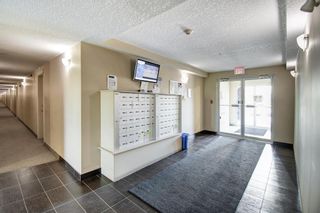 Photo 6: 3201 115 Prestwick Villas SE in Calgary: McKenzie Towne Apartment for sale : MLS®# A1255685