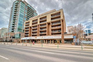 Photo 23: 307 718 12 Avenue SW in Calgary: Beltline Apartment for sale : MLS®# A2125595