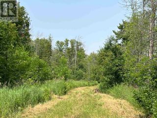 Photo 32: Part 2 Nelson DR in St. Joseph Island: Vacant Land for sale : MLS®# SM240114