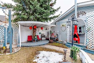 Photo 34: 56 Erin Circle SE in Calgary: Erin Woods Detached for sale : MLS®# A2122813