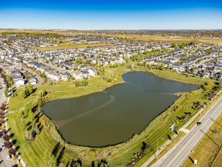 Photo 47: 141 Silverado Range Cove SW in Calgary: Silverado Detached for sale : MLS®# A1258227