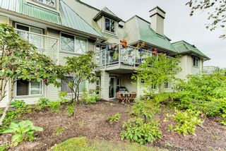 Photo 19: 102 22275 123RD Avenue in Maple Ridge: West Central Condo for sale in "MountainView Terraces" : MLS®# R2595874