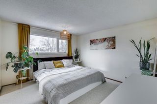 Photo 29: 239 Parkside Way SE in Calgary: Parkland Detached for sale : MLS®# A2013099
