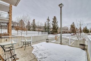 Photo 45: 246 165 Manora Place NE in Calgary: Marlborough Park Apartment for sale : MLS®# A2021263