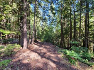 Photo 17: Lot 1 SAUNDERS ROAD in Passmore: Vacant Land for sale : MLS®# 2469922