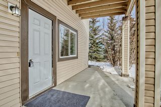 Photo 32: 133 Kincora Bay NW in Calgary: Kincora Detached for sale : MLS®# A1254445