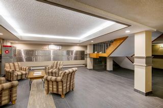 Photo 23: 308 816 89 Avenue SW in Calgary: Haysboro Apartment for sale : MLS®# A1228379