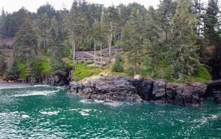 Photo 2: OCEANFRONT LOT FOR SALE IN SOOKE  |  GREATER VICTORIA