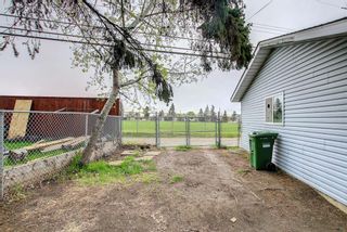 Photo 5: 1616 Radisson Drive SE in Calgary: Albert Park/Radisson Heights Detached for sale : MLS®# A1219158