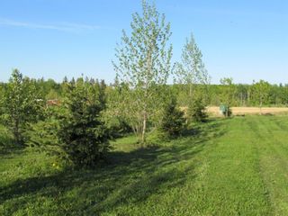 Photo 5: Lot 12 420054 Range Road 283: Rimbey Residential Land for sale : MLS®# A1228400