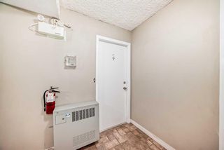 Photo 3: 2 645 Meredith Road NE in Calgary: Bridgeland/Riverside Apartment for sale : MLS®# A2130538