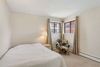 Photo 12: 408 930 18 Avenue SW in Calgary: Lower Mount Royal Apartment for sale : MLS®# A2019483