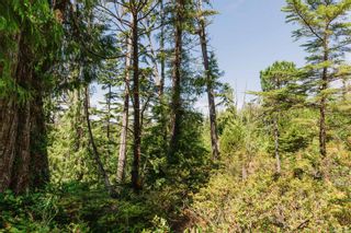 Photo 15: LOT B Hawkes Rd in Ucluelet: PA Ucluelet Land for sale (Port Alberni)  : MLS®# 911921