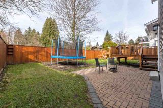 Photo 34: 4031 WEDGEWOOD STREET in Port Coquitlam: Oxford Heights House for sale : MLS®# R2556568