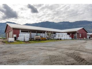 Photo 9: 39464 WELLS LINE ROAD in Abbotsford: House for sale : MLS®# R2835095
