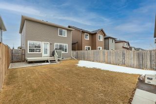 Photo 36: 218 Evansford Circle NW in Calgary: Evanston Detached for sale : MLS®# A1190873
