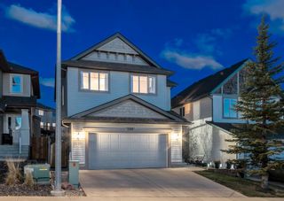 Photo 38: 248 EVANSBROOKE Way NW in Calgary: Evanston Detached for sale : MLS®# A1221592