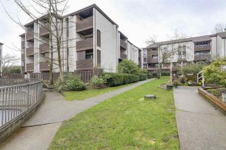Photo 13: 414 340 GINGER Drive in New Westminster: Fraserview NW Condo for sale : MLS®# R2237582