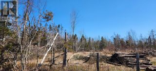 Photo 3: MacDonald's Road in Union Road: Vacant Land for sale : MLS®# 202309197