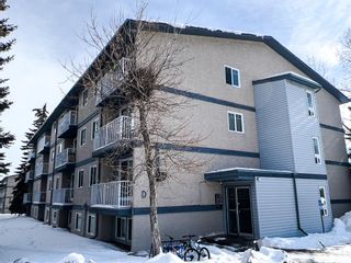 Photo 38: 403D 5601 Dalton Drive NW in Calgary: Dalhousie Apartment for sale : MLS®# A2032146