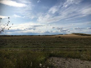 Photo 5: HWY 39 RR 34: Rural Leduc County Rural Land/Vacant Lot for sale : MLS®# E4235214