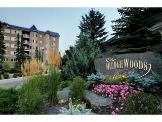 Photo 21: 432 10 Discovery Ridge Close SW in Calgary: Discovery Ridge Apartment for sale : MLS®# A1215390