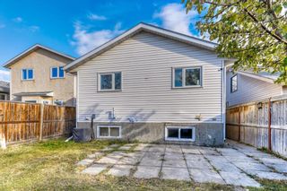 Photo 29: 11 Erin Green Place SE in Calgary: Erin Woods Detached for sale : MLS®# A2009889