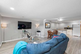 Photo 23: 12256 Canfield Road SW in Calgary: Canyon Meadows Detached for sale : MLS®# A2118064
