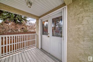 Photo 5: 6622 110 Street in Edmonton: Zone 15 House for sale : MLS®# E4382393