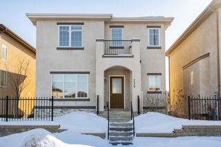 Photo 1: 230 Edward Turner Drive in Winnipeg: Sage Creek House for sale (2K)  : MLS®# 202006143