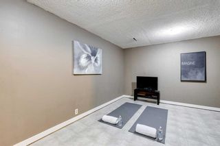 Photo 24: 77 330 Canterbury Drive SW in Calgary: Canyon Meadows Row/Townhouse for sale : MLS®# A2074563
