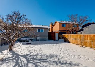 Photo 47: 156 Beddington Circle NE in Calgary: Beddington Heights Detached for sale : MLS®# A1206246