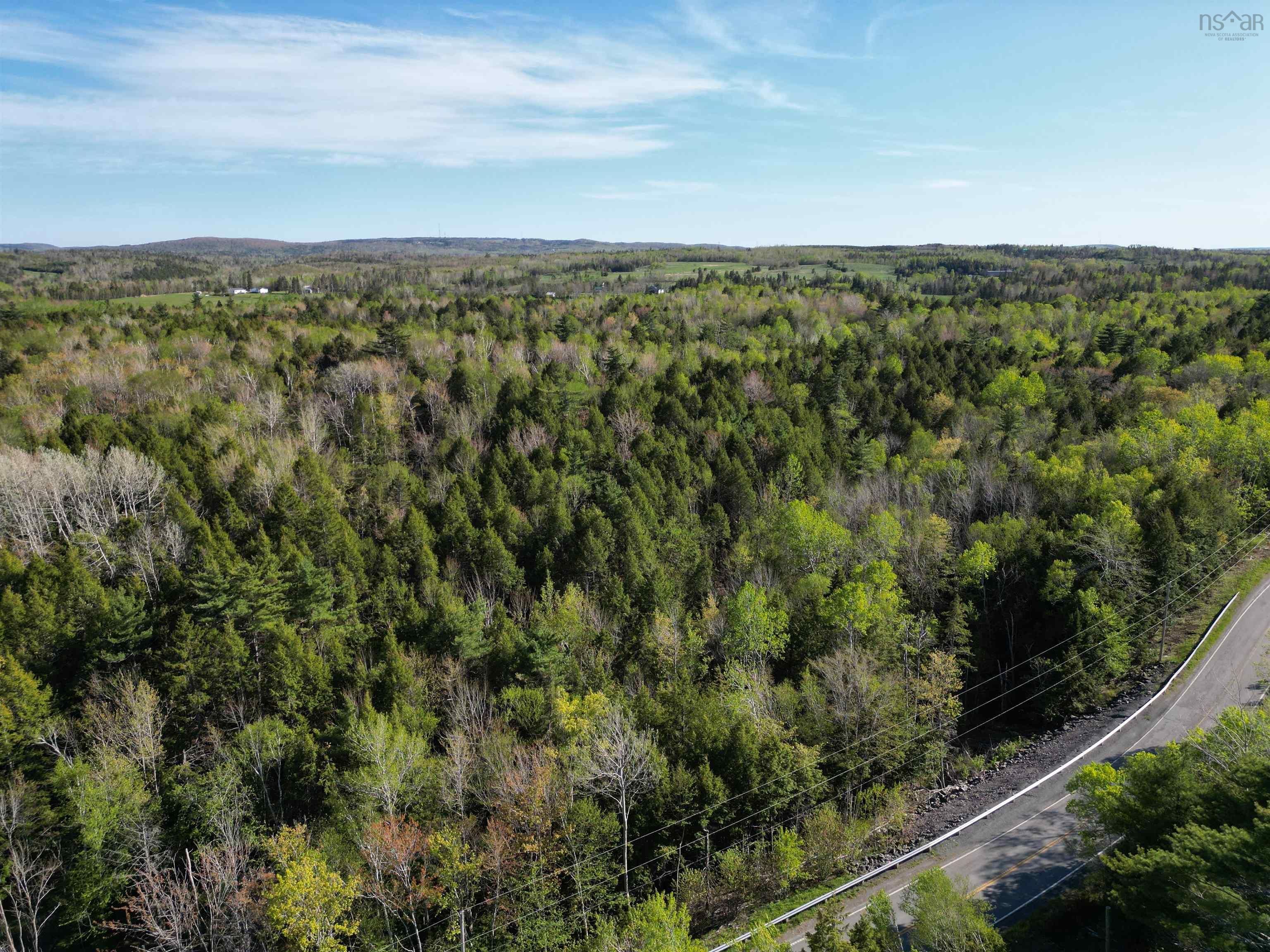 Main Photo: 6.37 acres Highway 4 in Pine Tree: 108-Rural Pictou County Vacant Land for sale (Northern Region)  : MLS®# 202303532