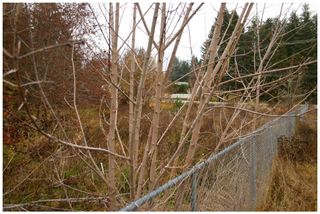 Photo 15: 480 Southeast 30 Street in Salmon Arm: SE Vacant Land for sale : MLS®# 10171761