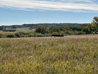 Photo 14: 2900069 Range Road 293: Rural Foothills County Residential Land for sale : MLS®# A2084170