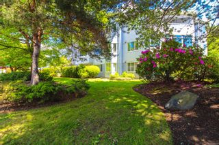 Photo 28: 207 3931 Shelbourne St in Saanich: SE Mt Tolmie Condo for sale (Saanich East)  : MLS®# 968250