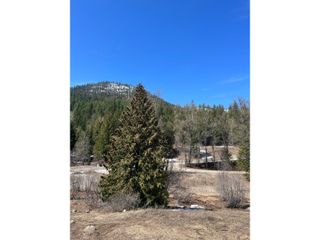 Photo 17: 201 JOLIFFE WAY in Rossland: Vacant Land for sale : MLS®# 2475917